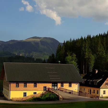 Ferienstadl - Hammerau Göstling an der Ybbs Eksteriør bilde