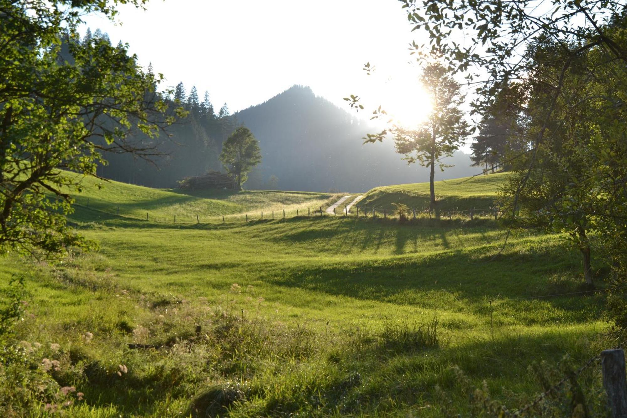 Ferienstadl - Hammerau Göstling an der Ybbs Eksteriør bilde